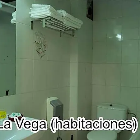 Hotel La Vega Arriondas